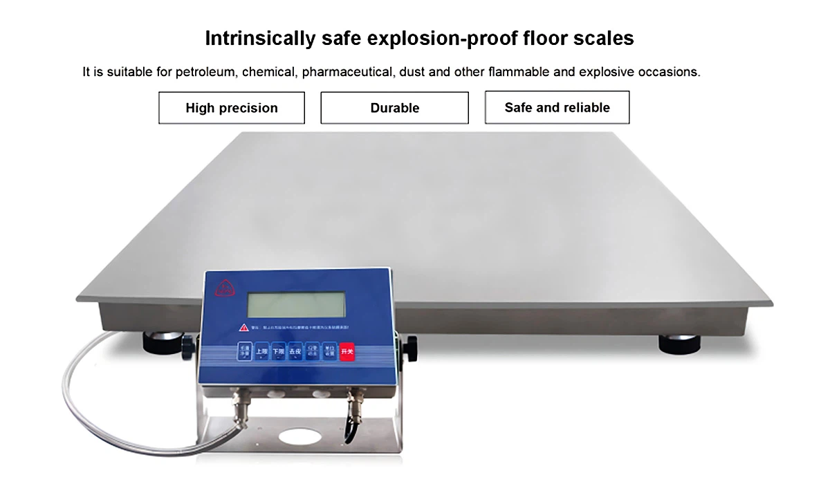 Explosion Proof Floor and Platform Scales Explosion Proof Floor and Platform Scales